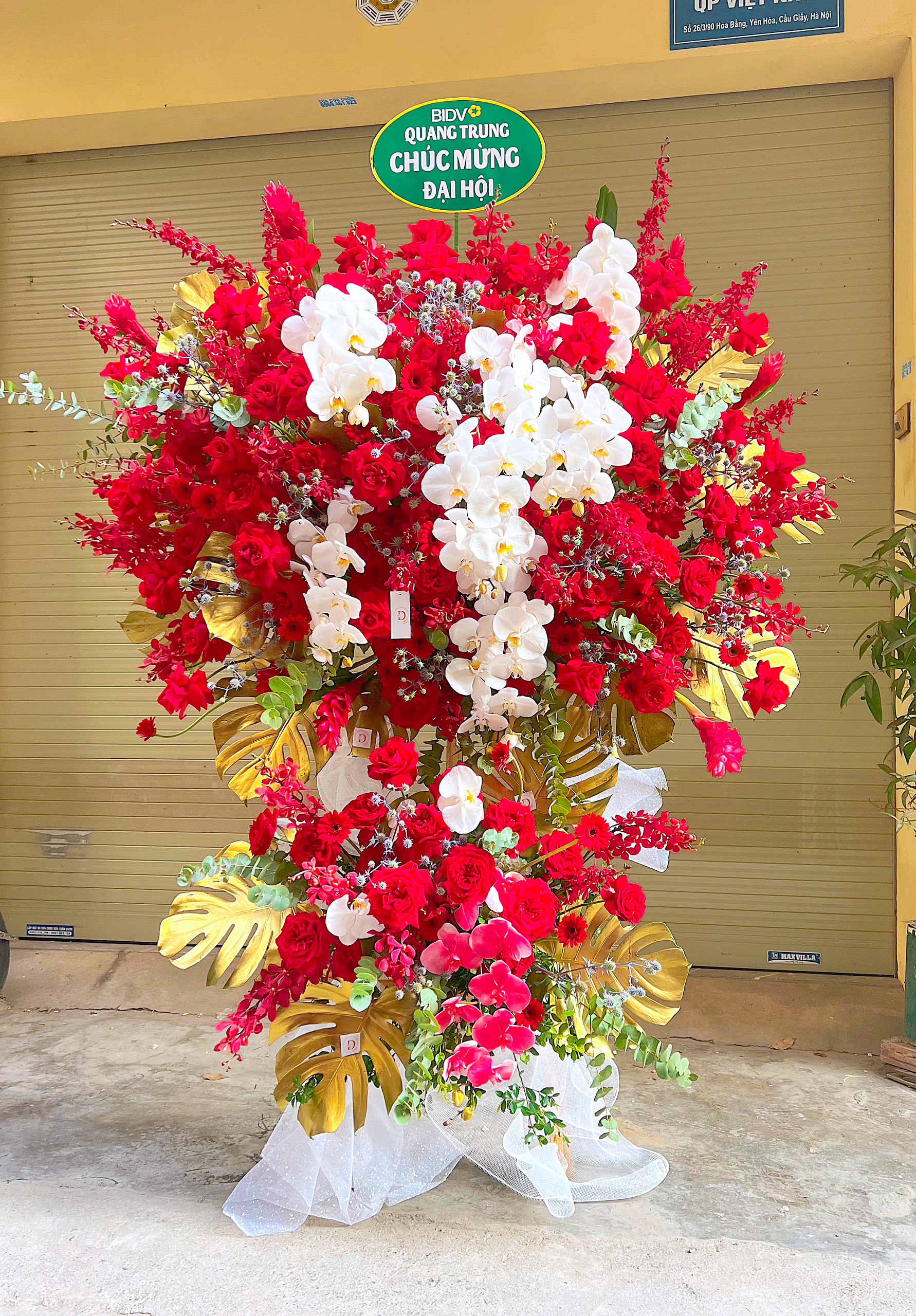 Hoa chúc mừng