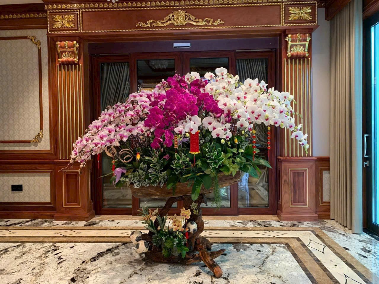 Lan hồ điệp